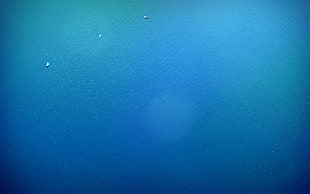 color blue HD wallpaper